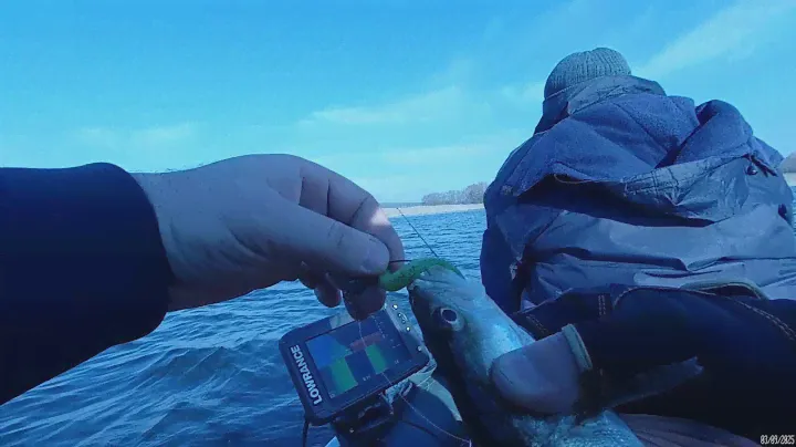 Эхолот lowrance elite 7 ti в деле. Отчет о рыбалке 8 марта 2020 г