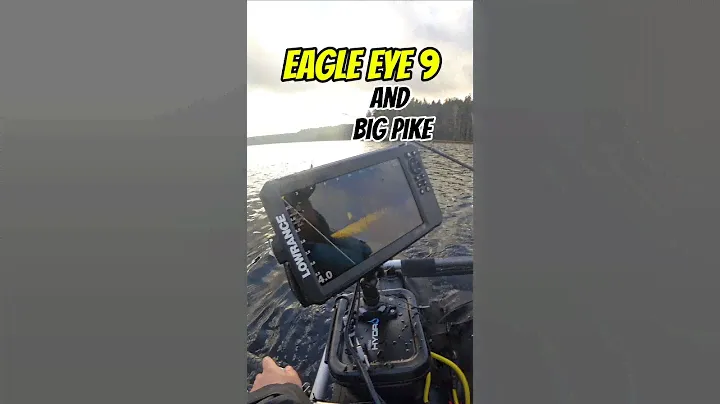 Lowrance Eagle Eye 9 and Big Pike. #lowranceeagleeye #lowrance #pikefishing  #fishing