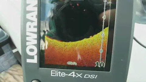 Стаи бели, сканируемые эхолотом Lowrance Elite 4x DSI