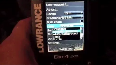 Lowrance elite 4 DSI